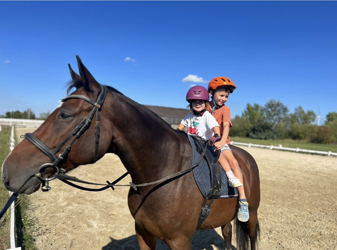 Pferdespass für Kinder - Mödling - Golf Lessons