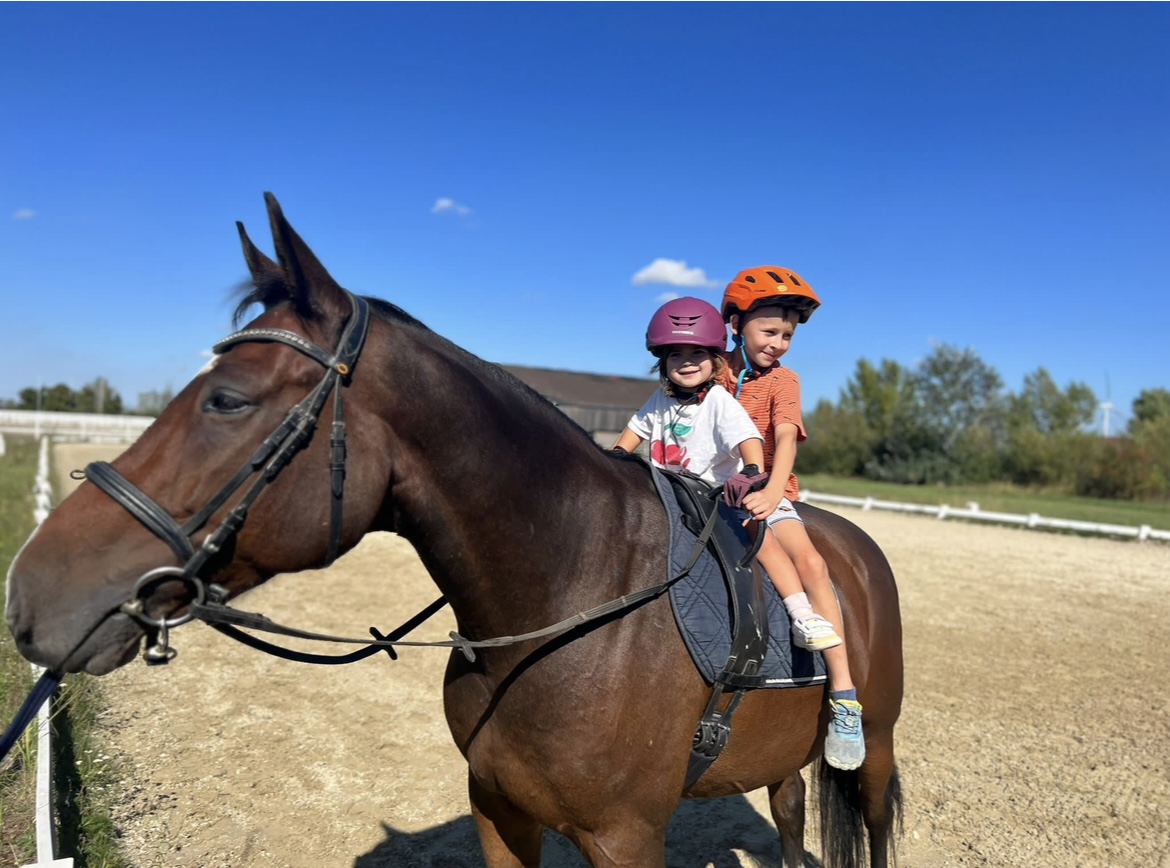 Pferdespass für Kinder - Mödling - Golfkurse