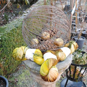 Gerda Schulze Zumloh - Sankt Veit an der Glan - Knitting Lessons