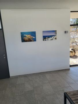 Events and Parties Decoration