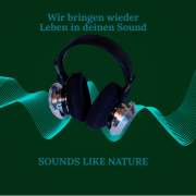 SLN Studios UG (haftungsbeschränkt) - Steyr-Land - Songwriting (Liedtexte schreiben)