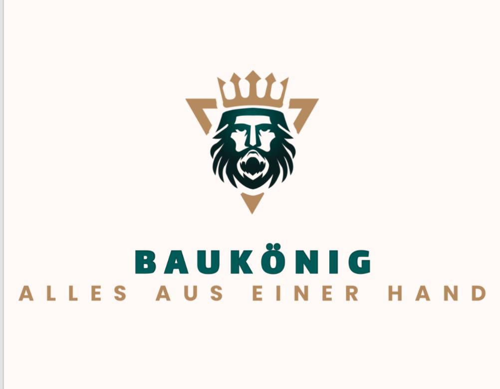 BAUKÖNIG - Wien - Room Extension