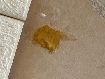 Spezialisten für Abfallentsorgung
