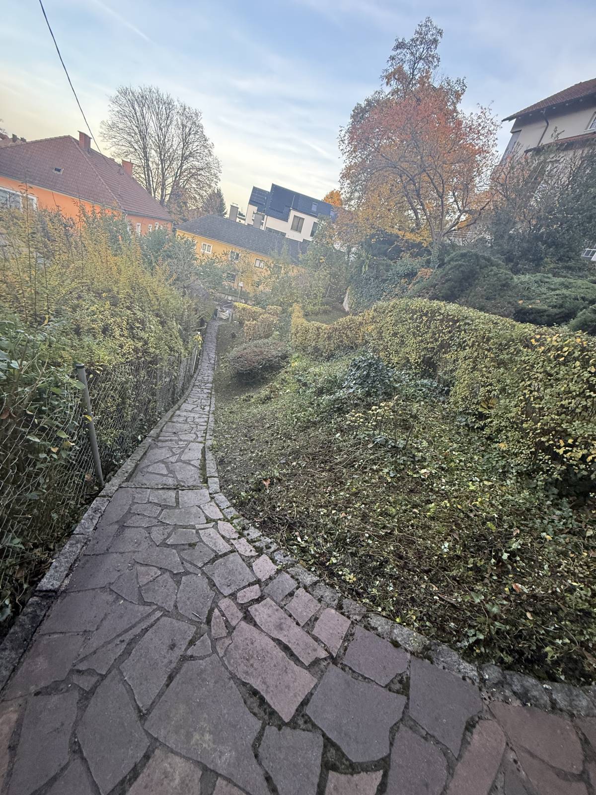 Gärtner handwerker - Linz-Land - Rasenpflege - Kompletter Rundum-Service (regelmäßig)