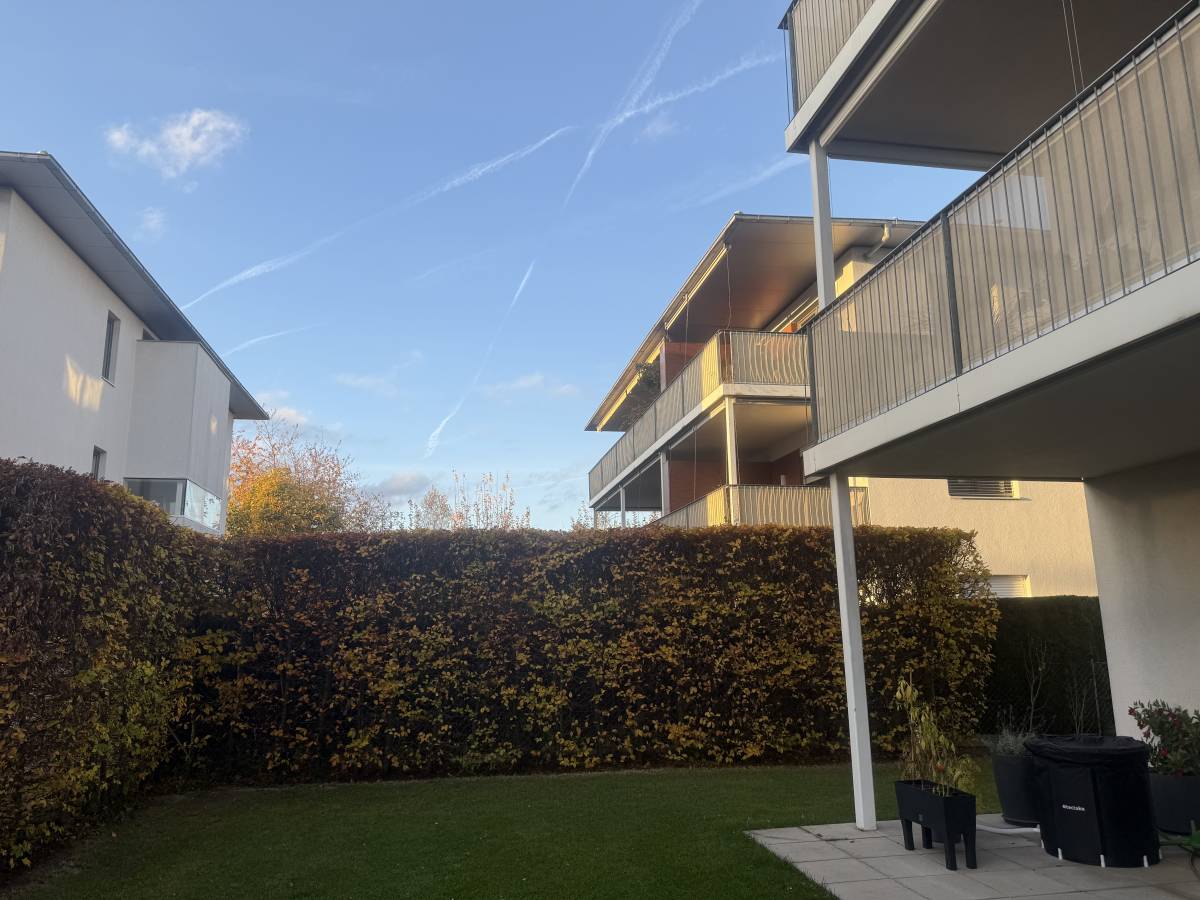 Gärtner handwerker - Linz-Land - Rasenmähen und Schneiden (einmalig)