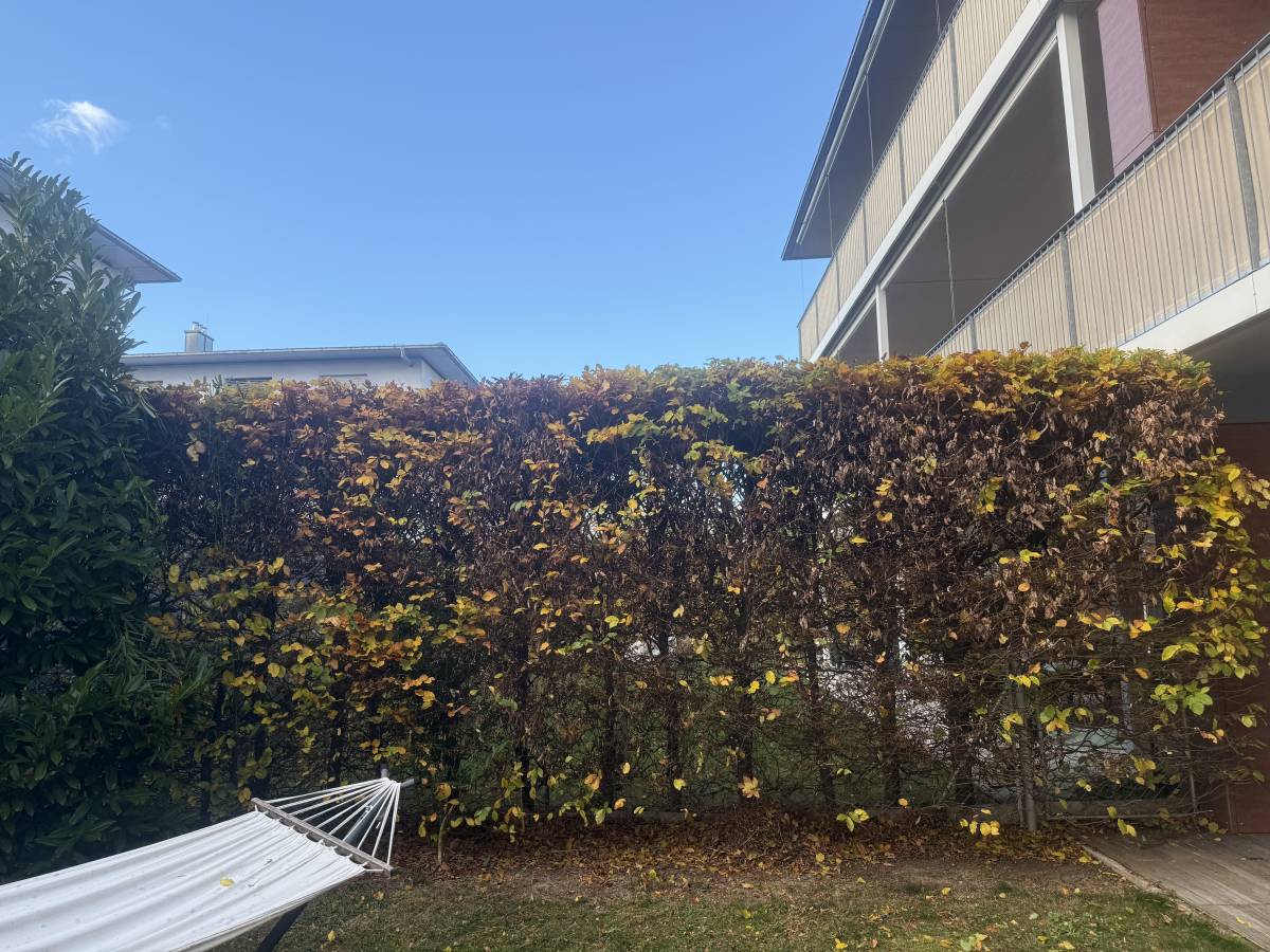 Gärtner handwerker - Linz-Land - Rasenkanten verlegen