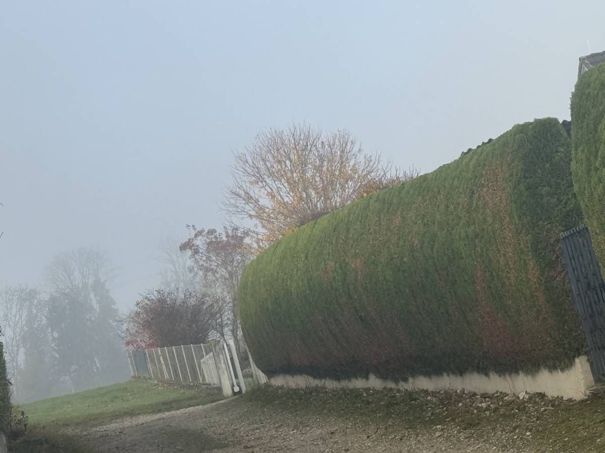 Gärtner handwerker - Linz-Land - Rasen belüften
