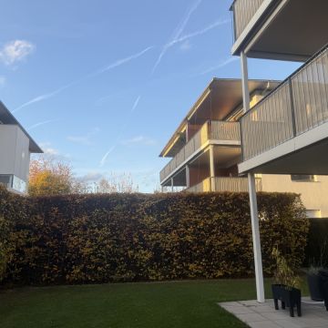 Gärtner handwerker - Linz-Land - Rasenmähen und Schneiden (einmalig)