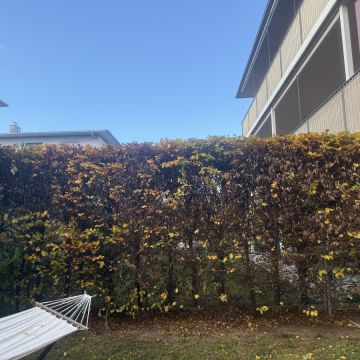 Gärtner handwerker - Linz-Land - Rasenkanten verlegen