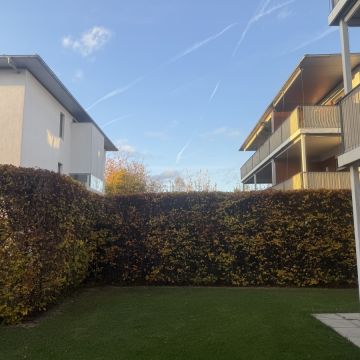 Gärtner handwerker - Linz-Land - Rasenpflege - Kompletter Rundum-Service