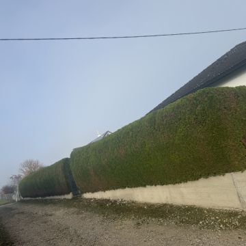 Gärtner handwerker - Linz-Land - Baumpflege