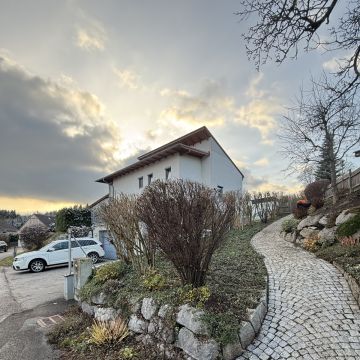 Gärtner handwerker - Linz-Land - Baumstumpf oder -wurzel wegfräsen und entfernen