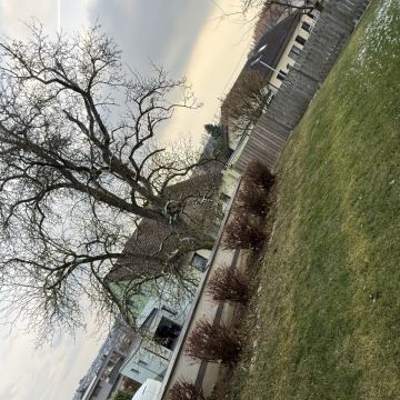 Gärtner handwerker - Linz-Land - Gartenbewässerung und -pflege