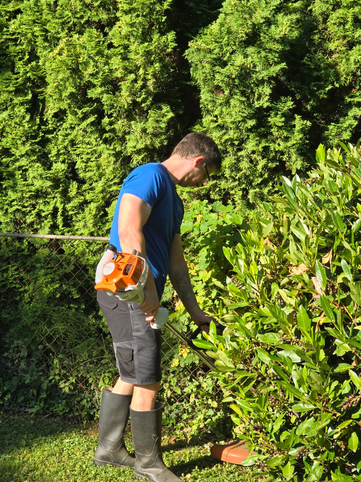 DF Immobilienbetreuung e.U. - Dornbirn - Seeding