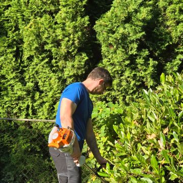 DF Immobilienbetreuung e.U. - Dornbirn - Seeding