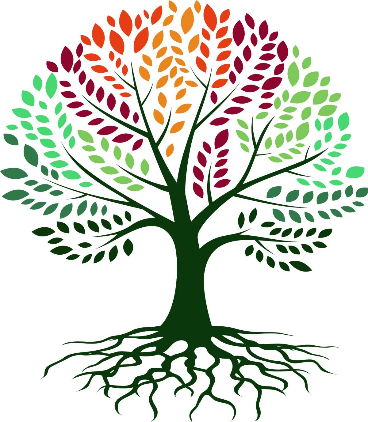 Baumpflege Krammer - Murtal - Shrub Planting