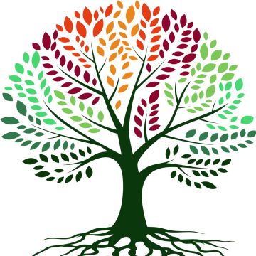 Baumpflege Krammer - Murtal - Shrub Planting
