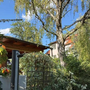 GB Garten Gestaltung - Sankt Pölten - Seeding