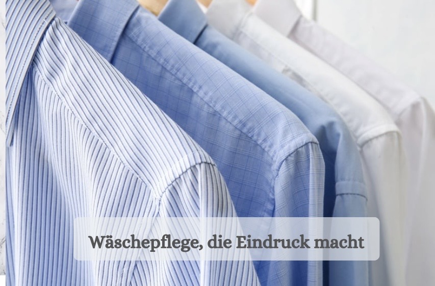 Chez Mademoiselle - HAUSHALTSORGANISATION - Vöcklabruck - Haushaltshilfe