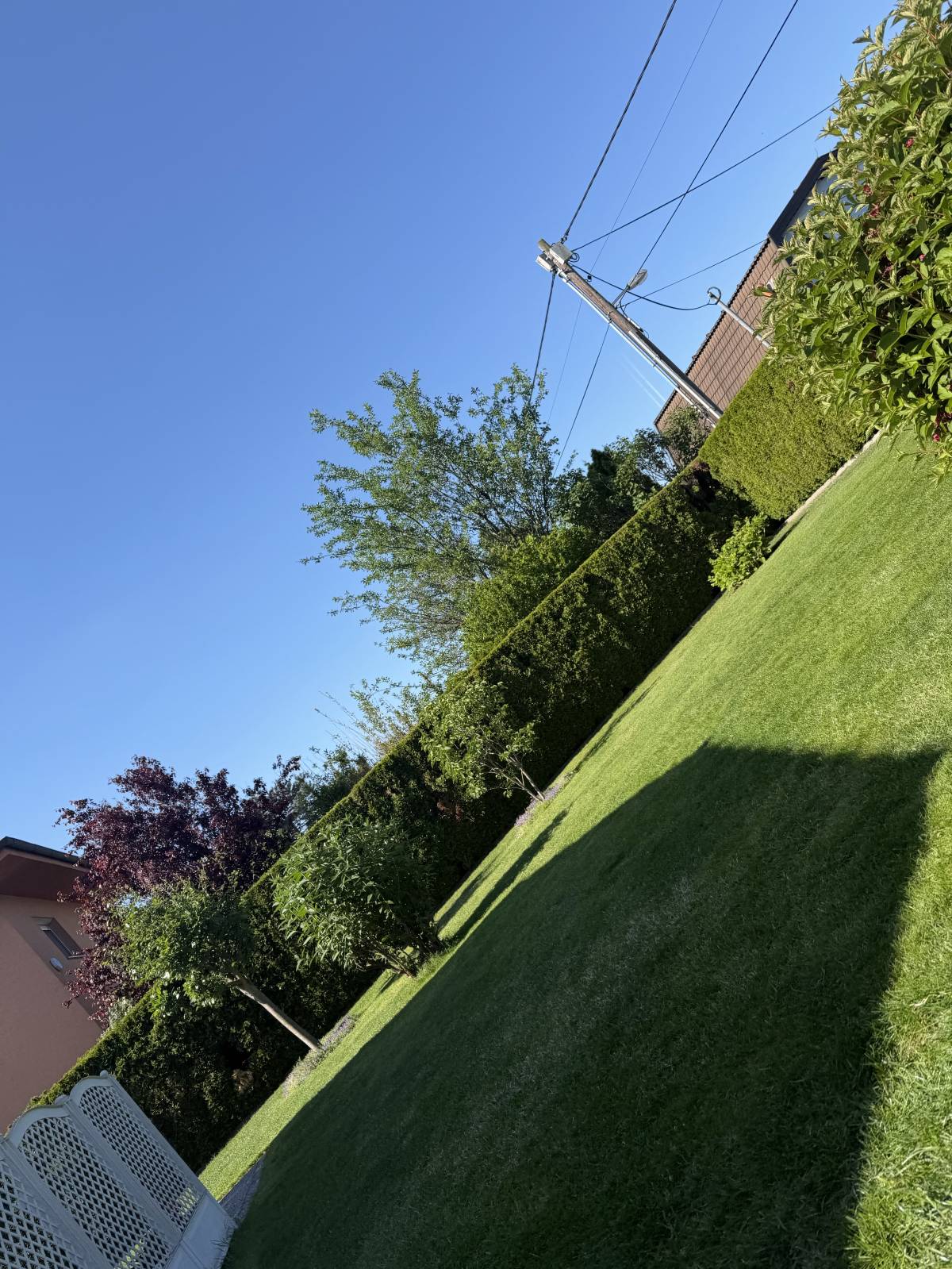 Nikolina Kovacevic - Wien-Umgebung - Multi Service Lawn Care (Recurring)