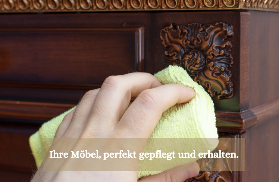 Chez Mademoiselle - HAUSHALTSORGANISATION - Vöcklabruck - Haushaltsdienstleistungen