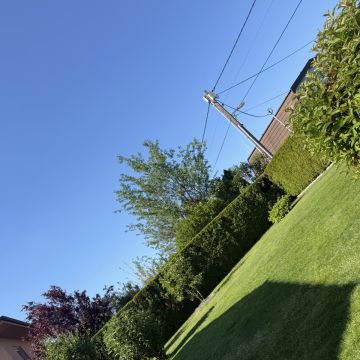 Nikolina Kovacevic - Wien-Umgebung - Multi Service Lawn Care (Recurring)