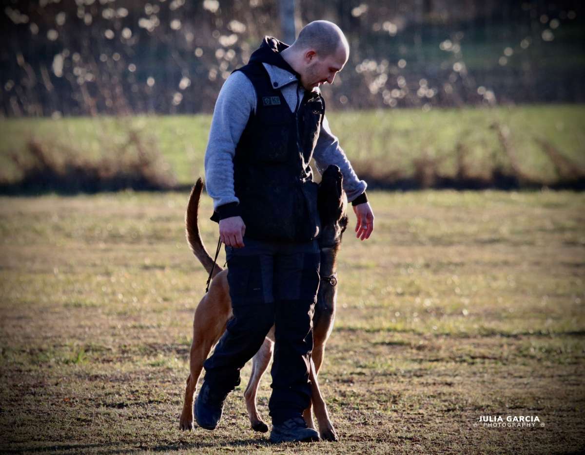 Haas - Baden - Hundetraining - Privatunterricht