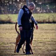 Haas - Baden - Hundetraining - Privatunterricht