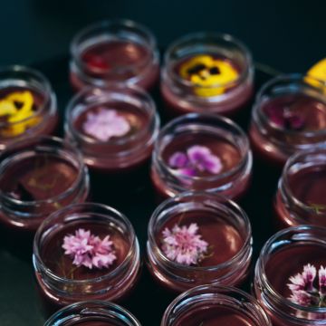 PIQUE-NIQUE - Wien-Umgebung - Event Catering (Buffet)