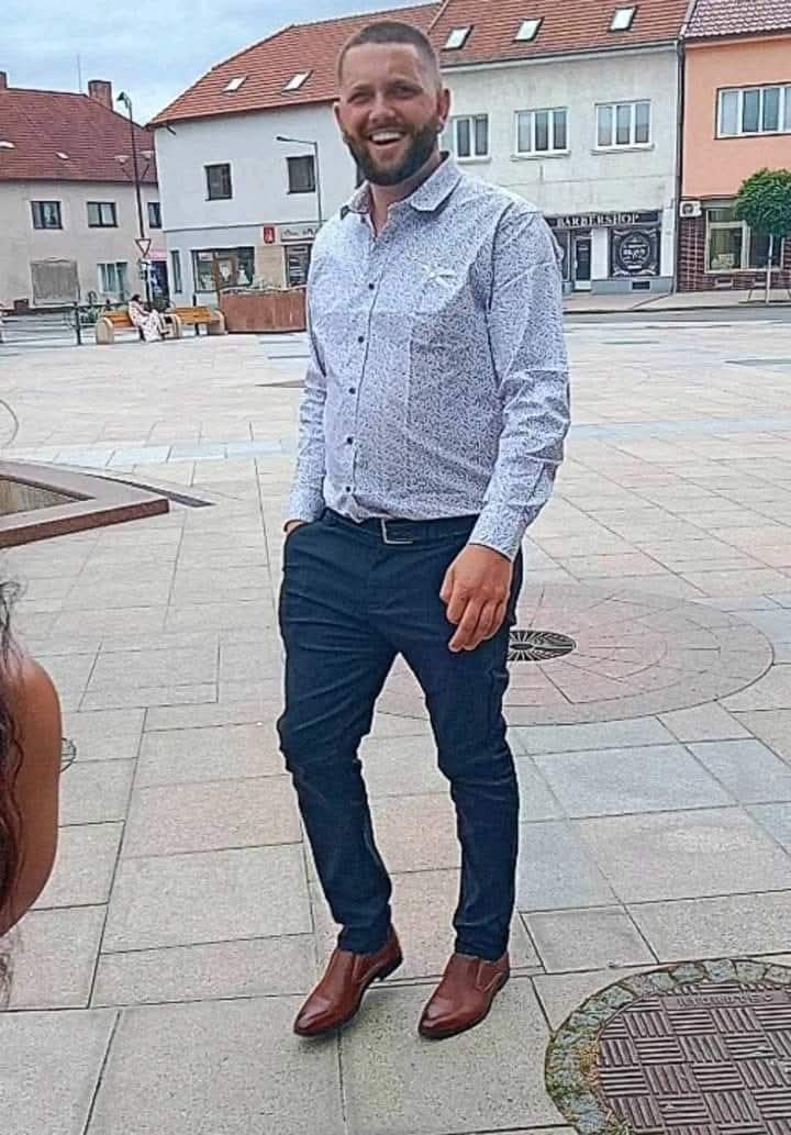 Lion construction - Mistelbach - Baumpflege