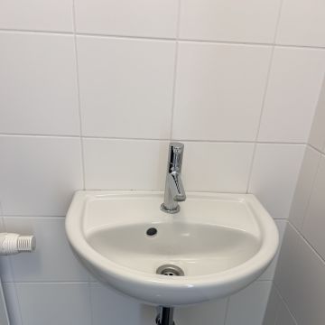 Sparkling Family Clean - Wien - Deep or Spring Cleaning