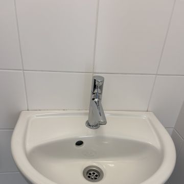 Sparkling Family Clean - Wien - Shrub Removal