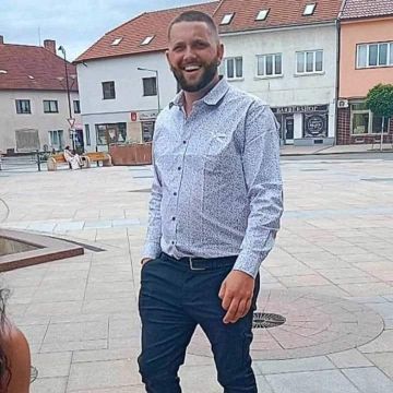 Lion construction - Mistelbach - Baumpflege