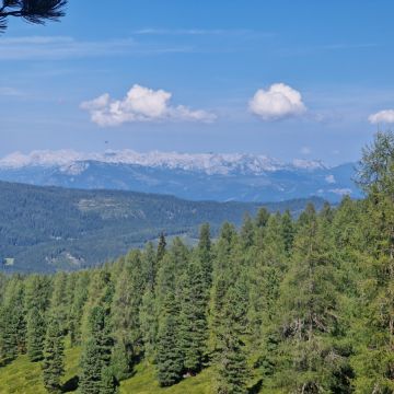 Hundepension mit Herz - Leoben - Hundeausführung