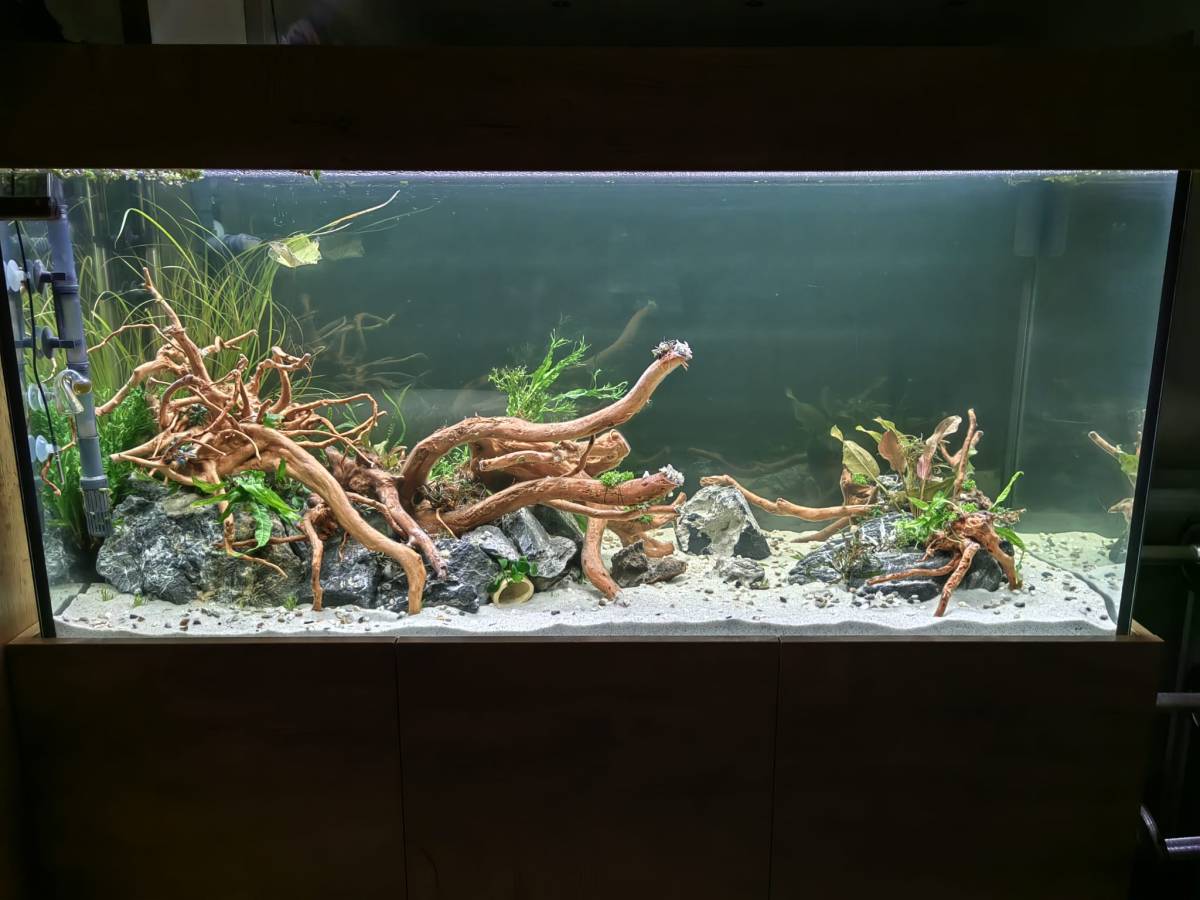 Aquarium.Tirol - Innsbruck-Land - Technischer Support
