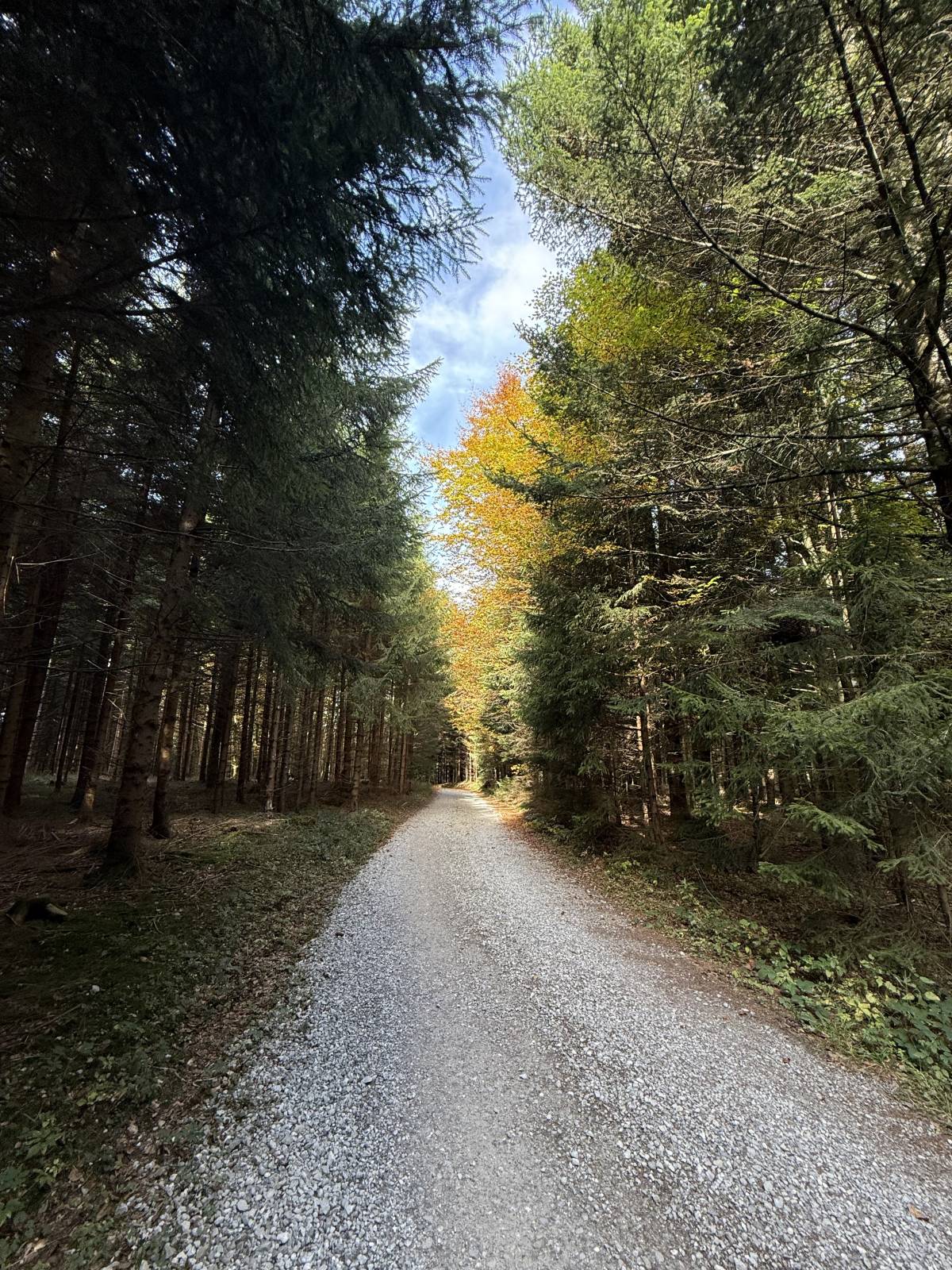 Mariette van den Berge - Salzburg - Medizinische Transkription