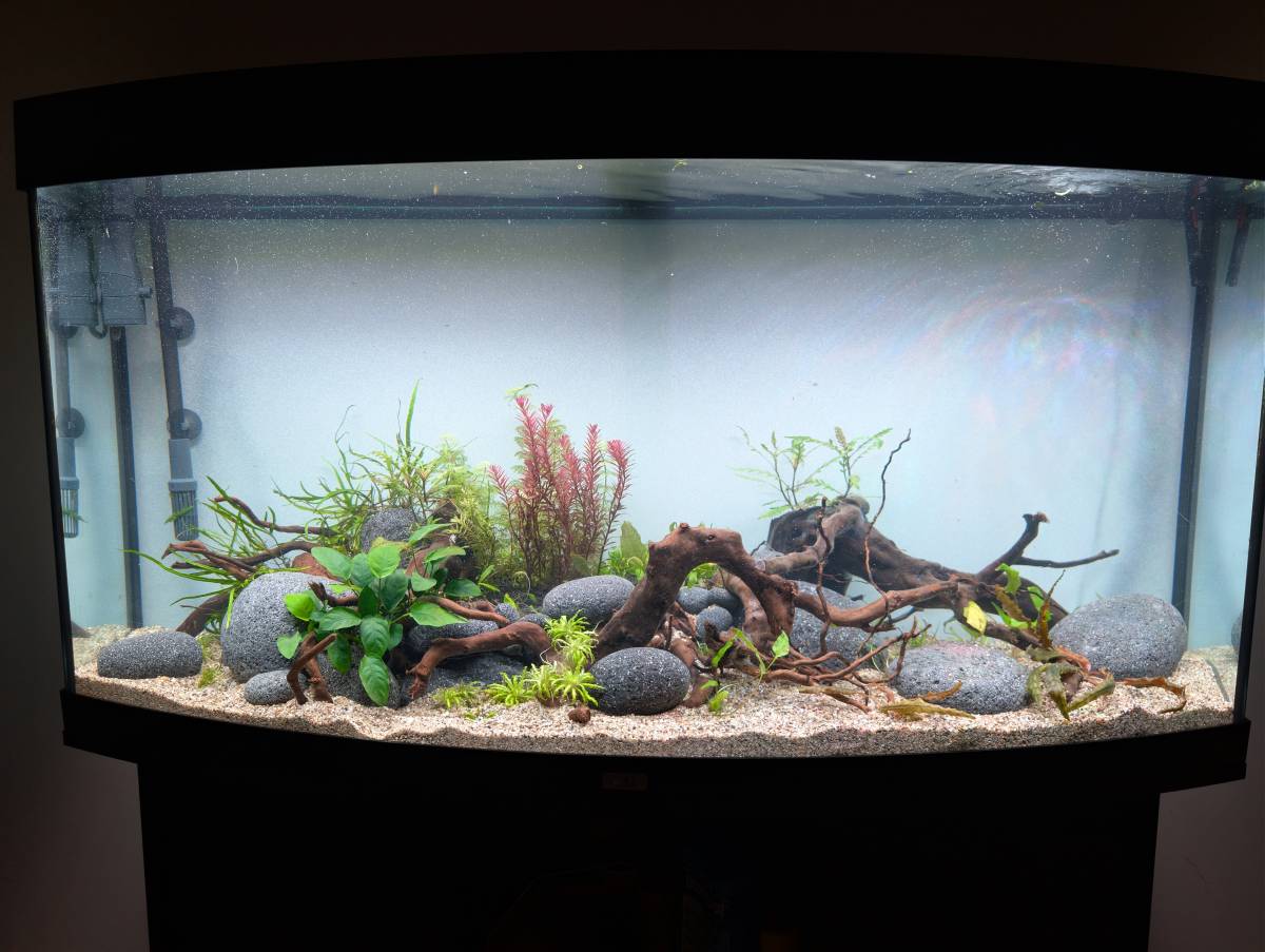 Aquarium.Tirol - Innsbruck-Land - Aquaristik
