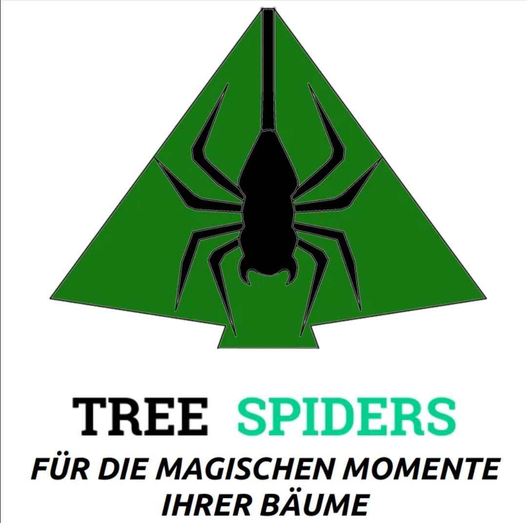 Treespiders - Schwaz - Entfernung von Gebüsch- und Baumaufwuchs