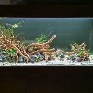 Aquarium.Tirol - Innsbruck-Land - Technischer Support