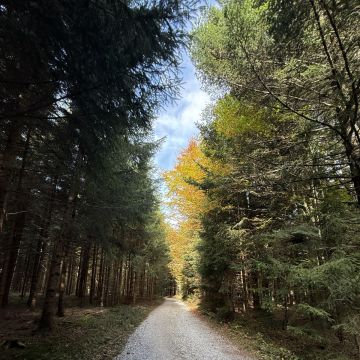 Mariette van den Berge - Salzburg - Medizinische Transkription