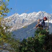 Treespiders - Schwaz - Entfernung von Gebüsch- und Baumaufwuchs