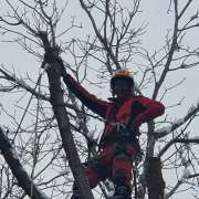 Treespiders - Schwaz - Fertilizing