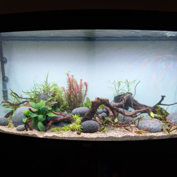 Aquarium.Tirol - Innsbruck-Land - Aquaristik