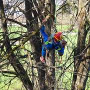 Treespiders - Schwaz - Gartenarbeiten