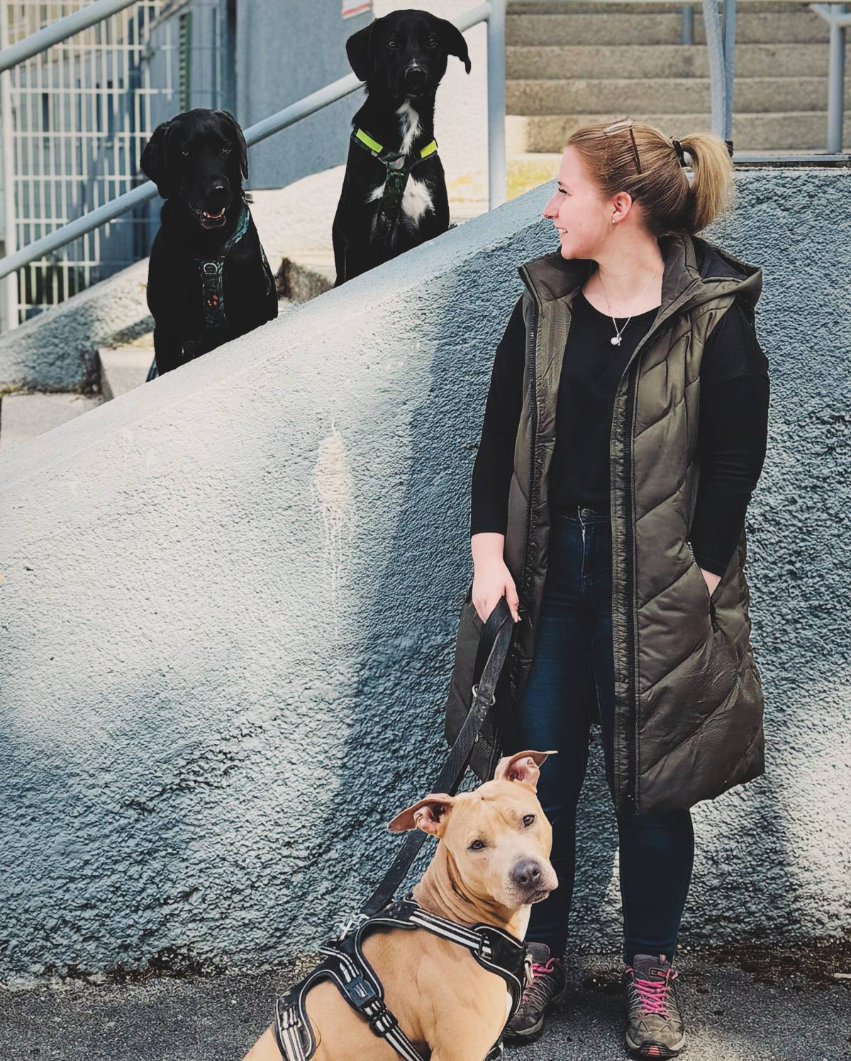 Janina Schickedanz - Salzburg - Hundetraining - Privatunterricht