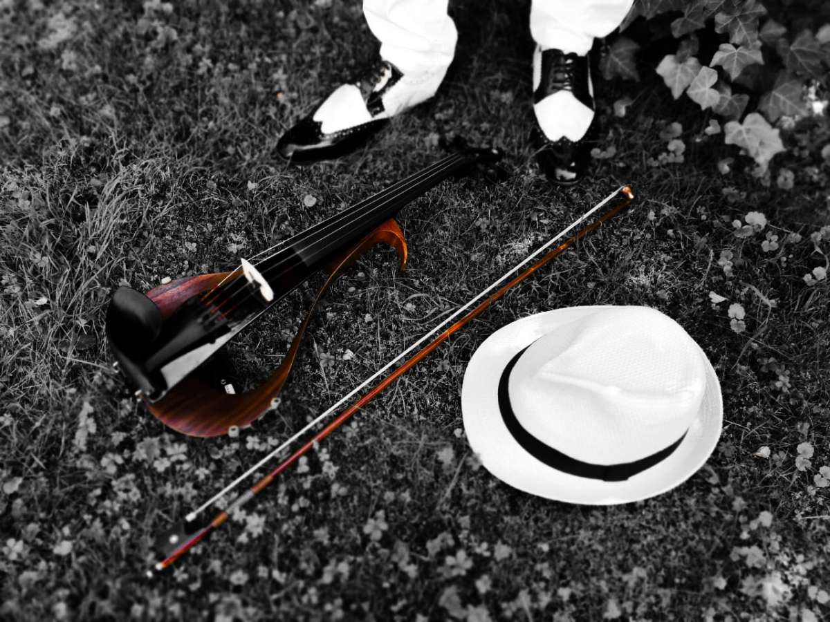 Geige und Bratscheunterricht - Salzburg-Umgebung - Harfenunterricht