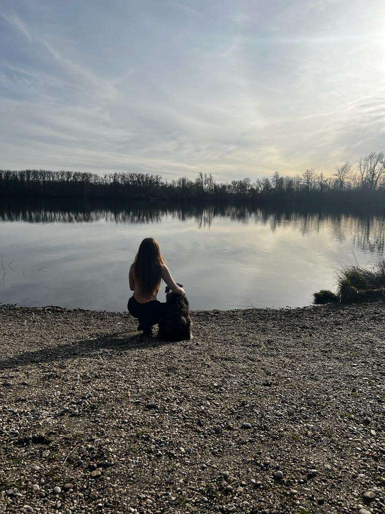 - Linz - Hundetraining - Betreuung und Training