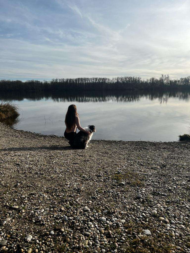 - Linz - Hundetraining - Privatunterricht