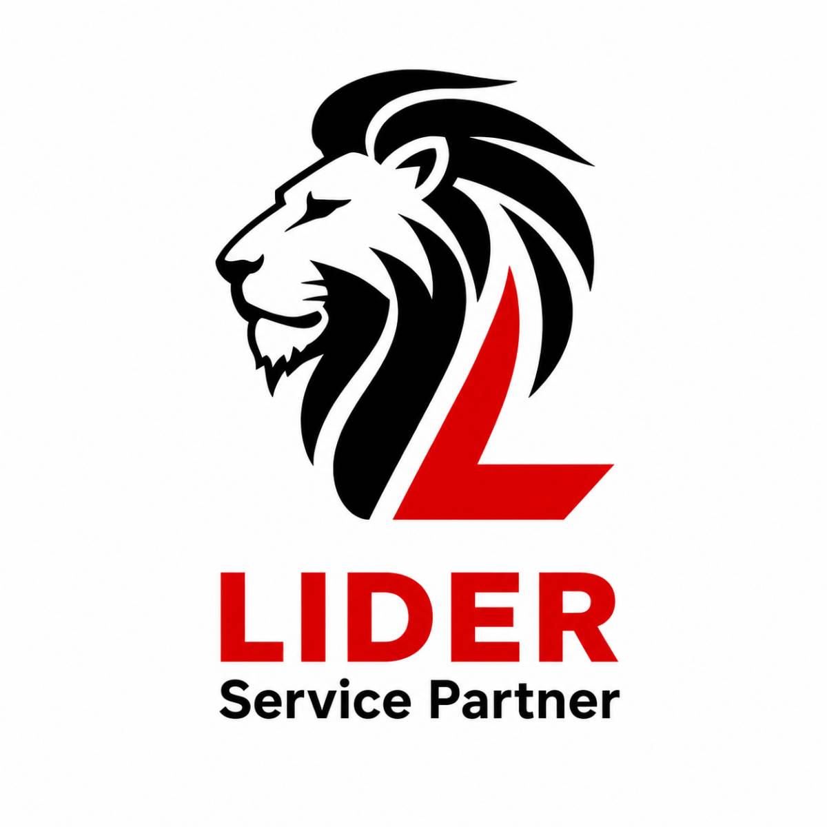 Lider Servize Partner Anatolii Havrylenko - Graz-Umgebung - Teppich verlegen