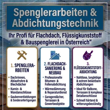 Spenglertechnik & Abdichtung - Baden - Foundation Repair